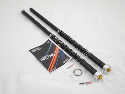 ANDREANI Cartridge für MOTO GUZZI V100 MANDELLO