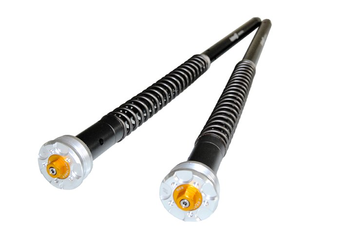 ANDREANI Cartridge für MOTO GUZZI V100 STELVIO