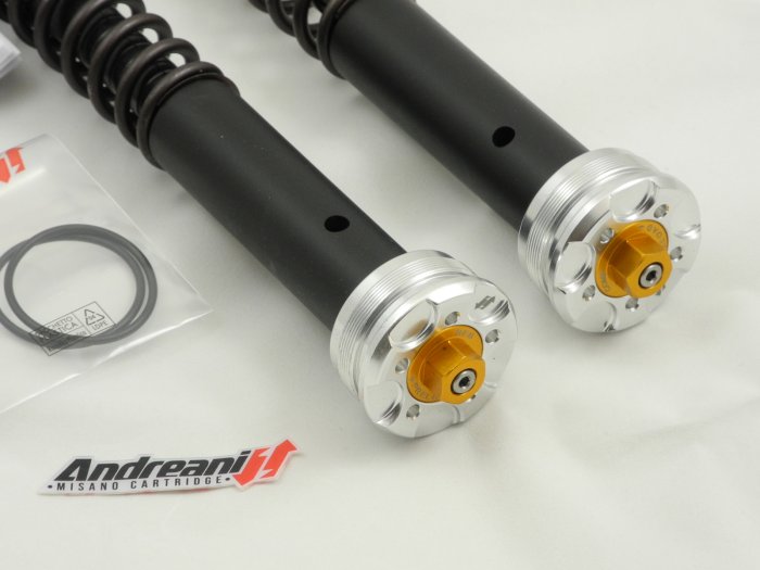 ANDREANI Cartridge für MOTO GUZZI V100 MANDELLO